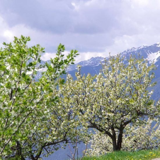 haus-talblick-luesen-suedtirol (12)