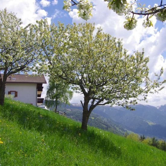 haus-talblick-luesen-suedtirol (17)